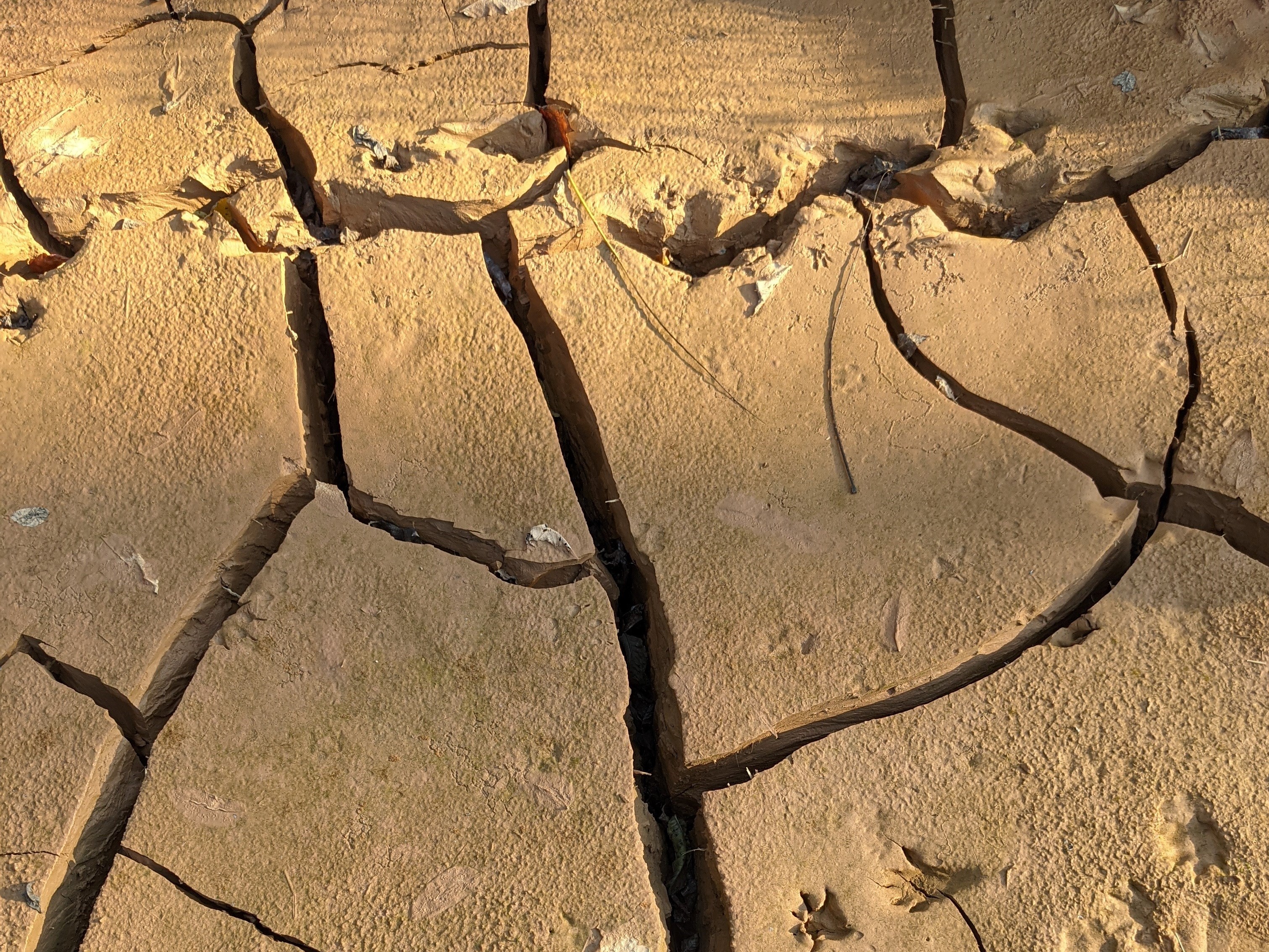 Do I need a Soils Report in Fairfax County?
